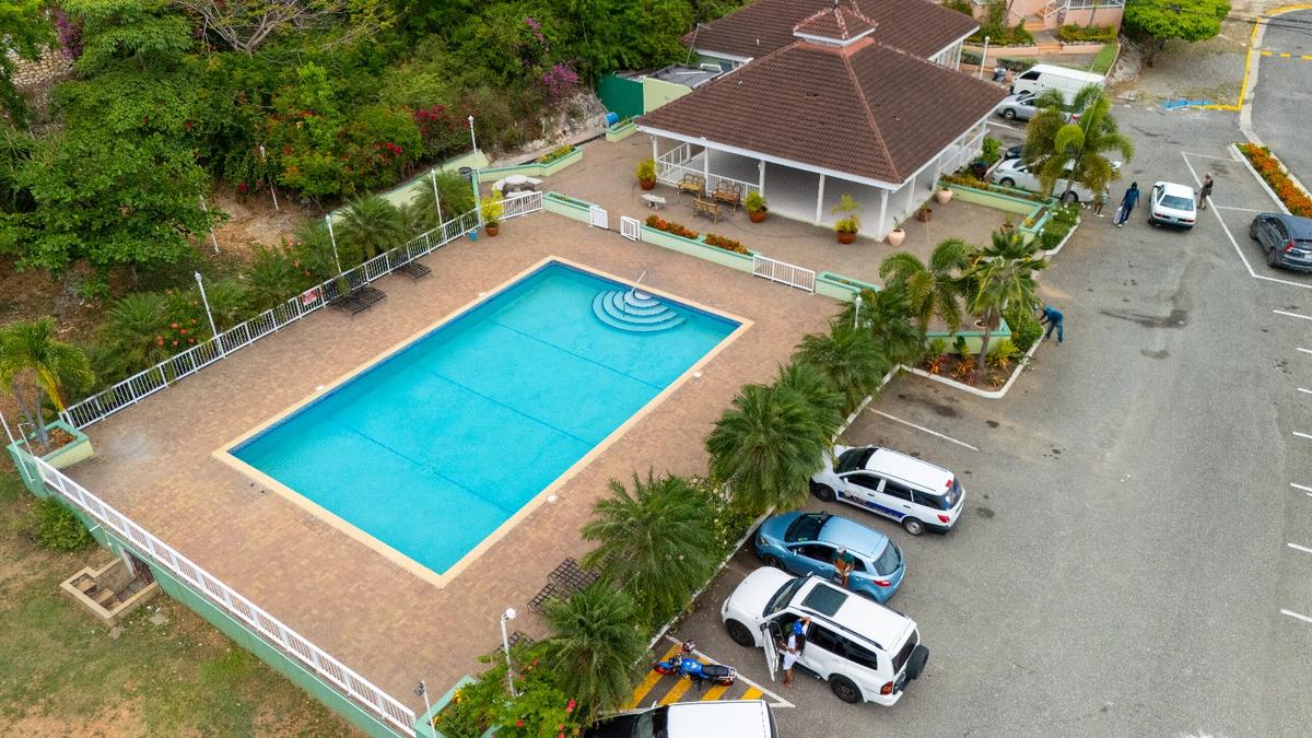 Community pool with palm trees